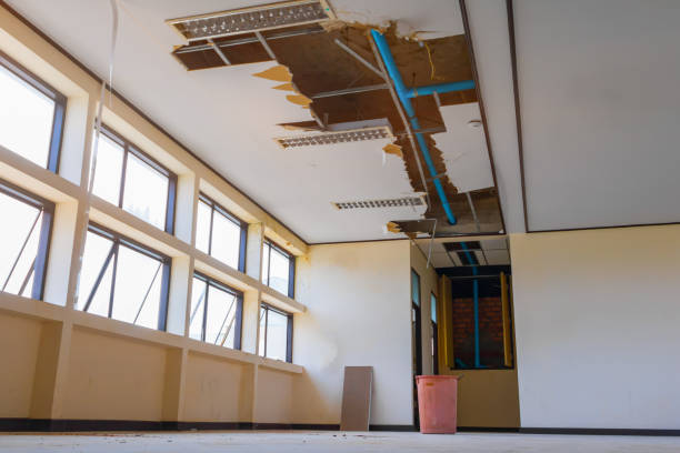 Best Water damage restoration insurance claims  in Middle River, MD