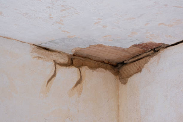 Best Water damage restoration mold remediation  in Middle River, MD