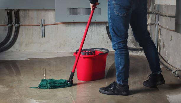 Water damage restoration insurance claims in MD
