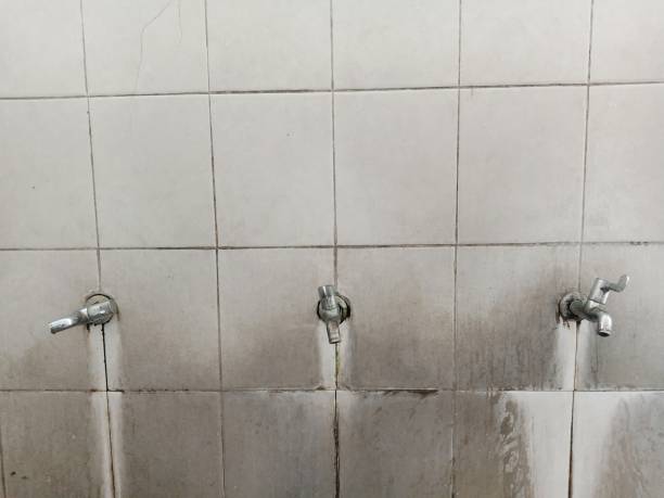 Best 24/7 water damage repair  in Middle River, MD