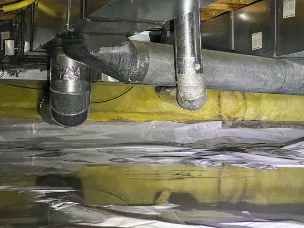 Best Mold removal after water damage  in Middle River, MD