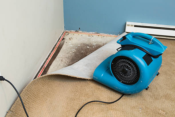 Best Basement water damage restoration  in Middle River, MD